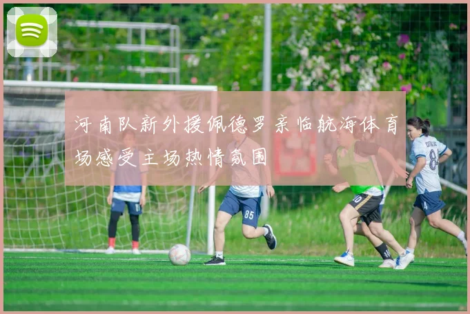 河南队新外援佩德罗亲临航海体育场感受主场热情氛围